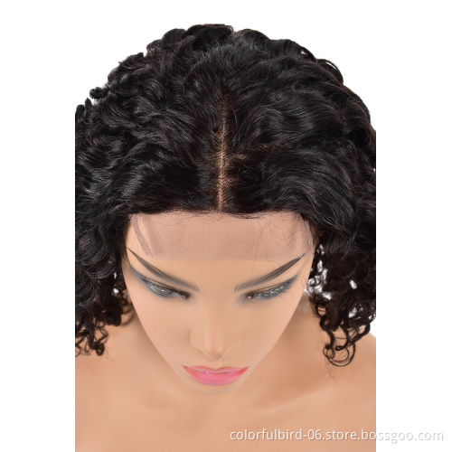 HLN Brazilian hair raw virgin cuticle aligned human hair wigs 4x4 HD lace closure wigs human hair Water Wave wig